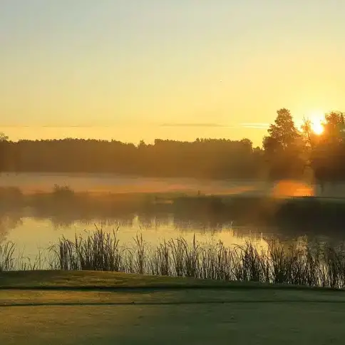 Svensk natur